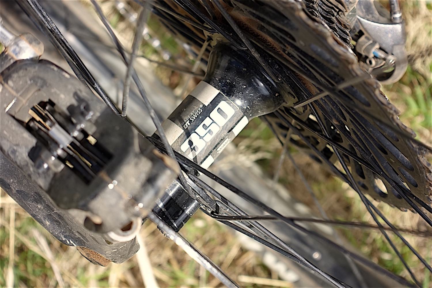 norco sight carbon dt swiss 350 hub