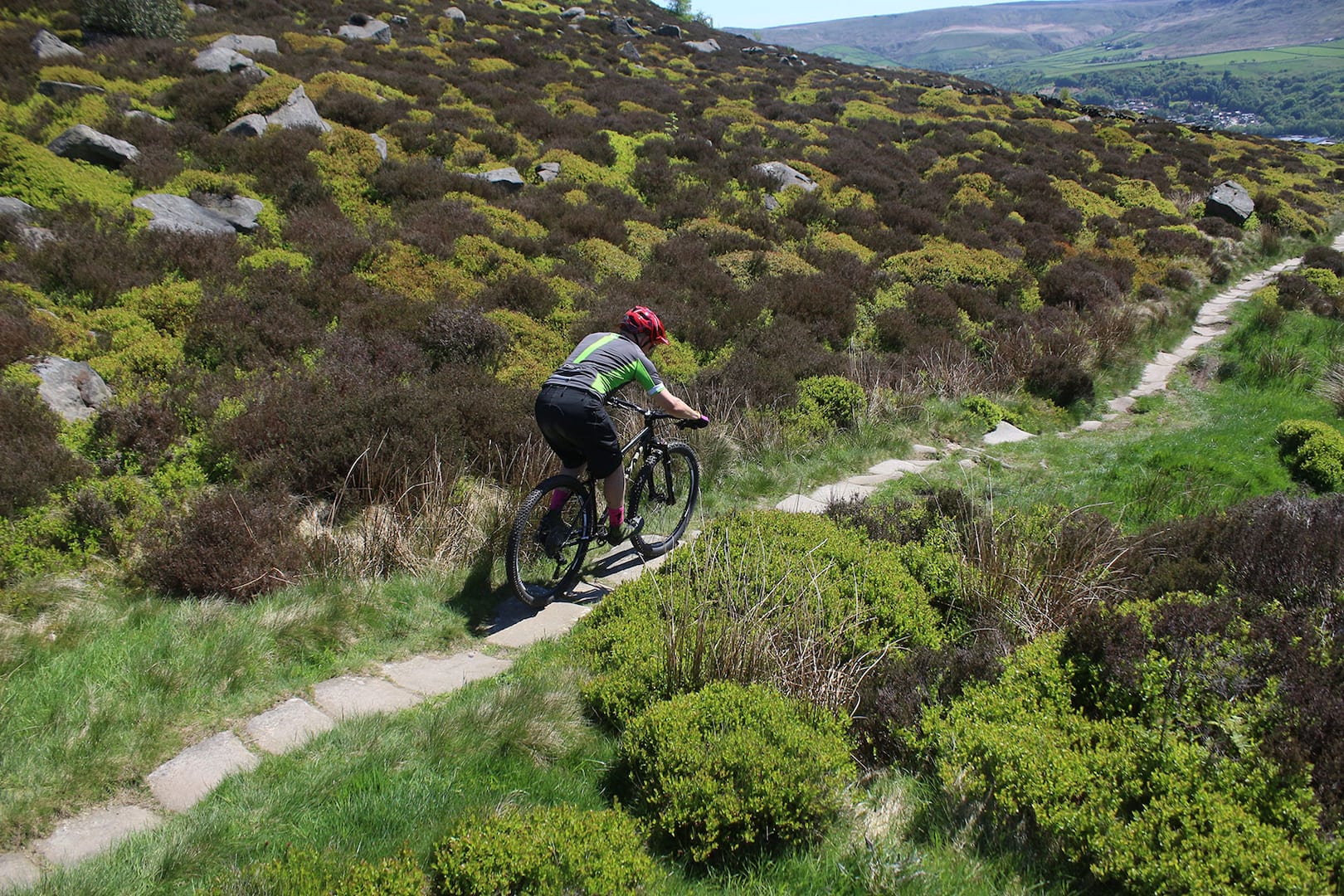cotic solaris max steel hardtail