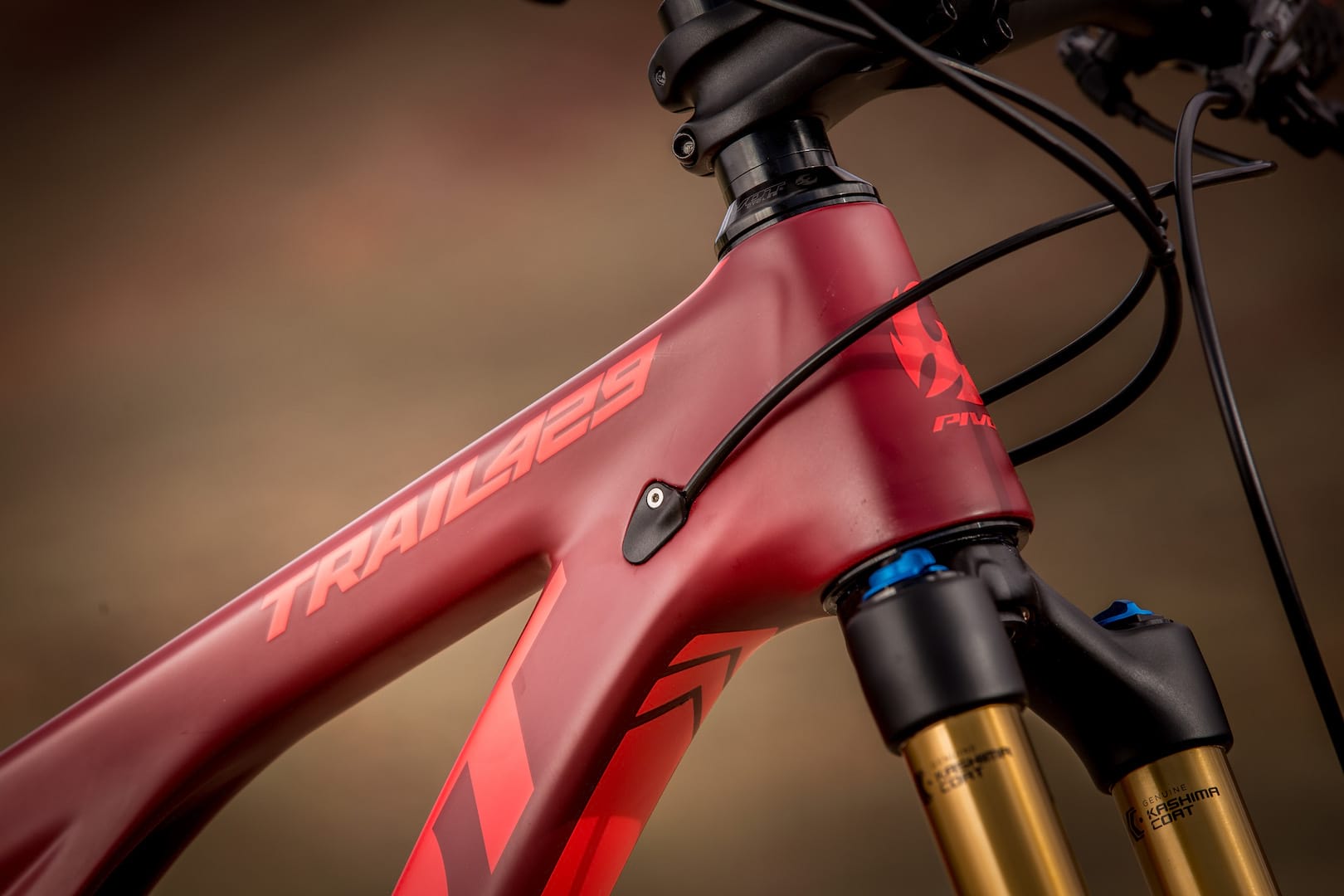 pivot cycles trail 429 dw-link