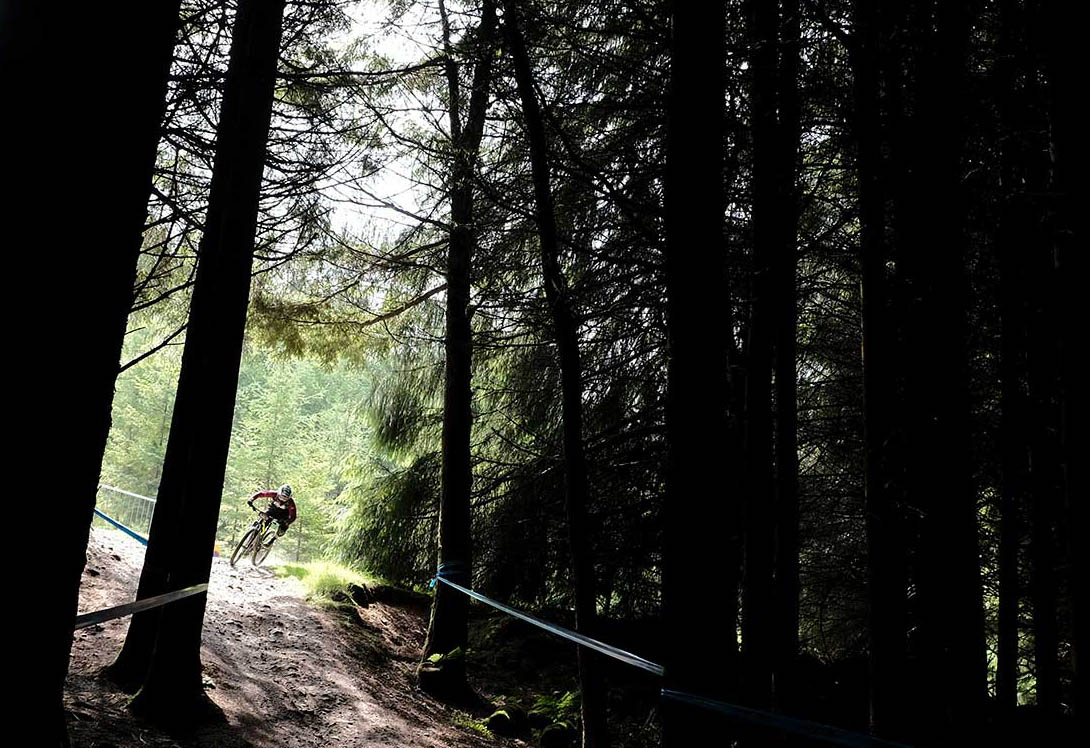 Wash Your Bike, Save Tweedlove Trees And Trails