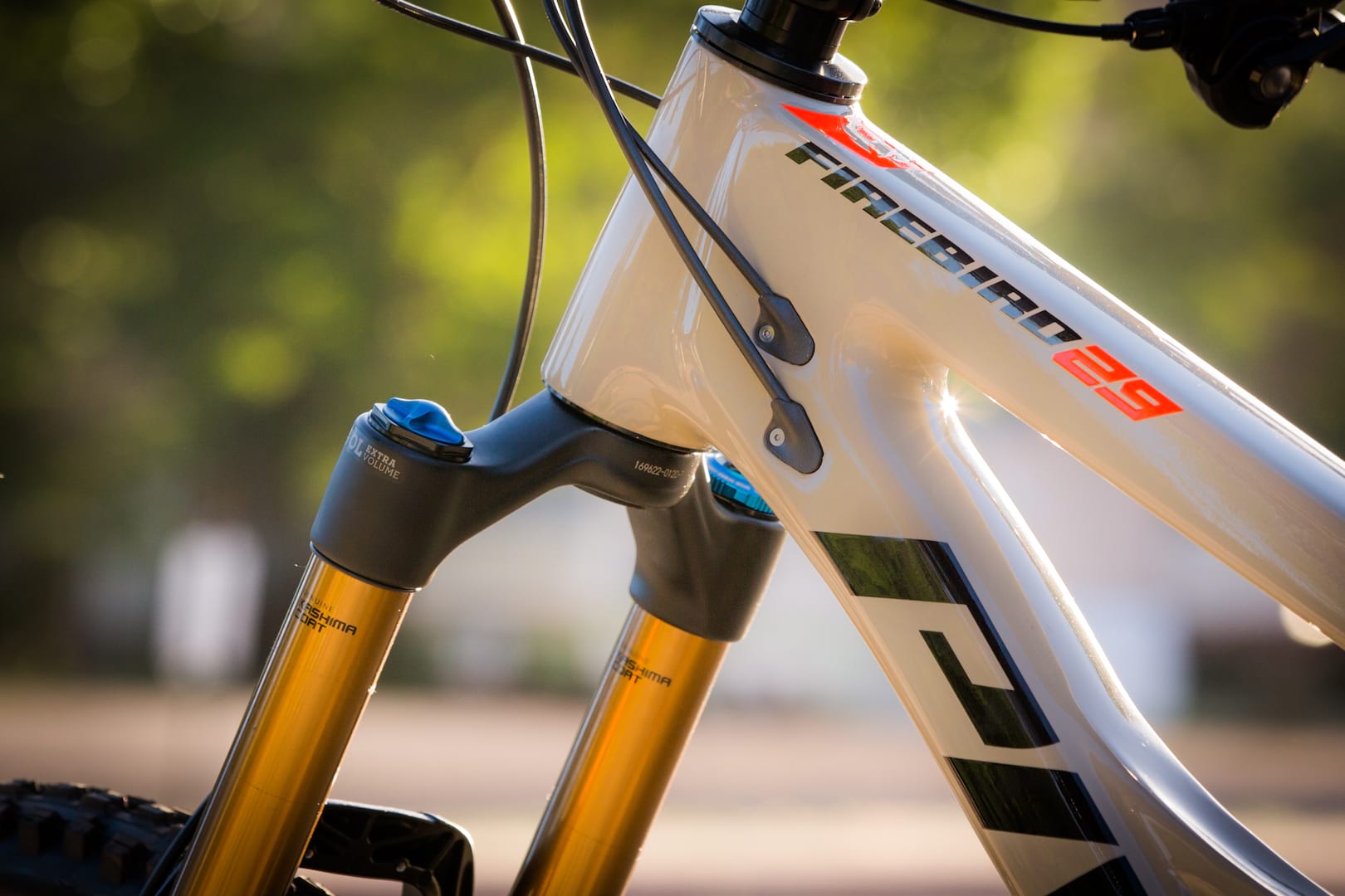 pivot firebird 29 moab utah