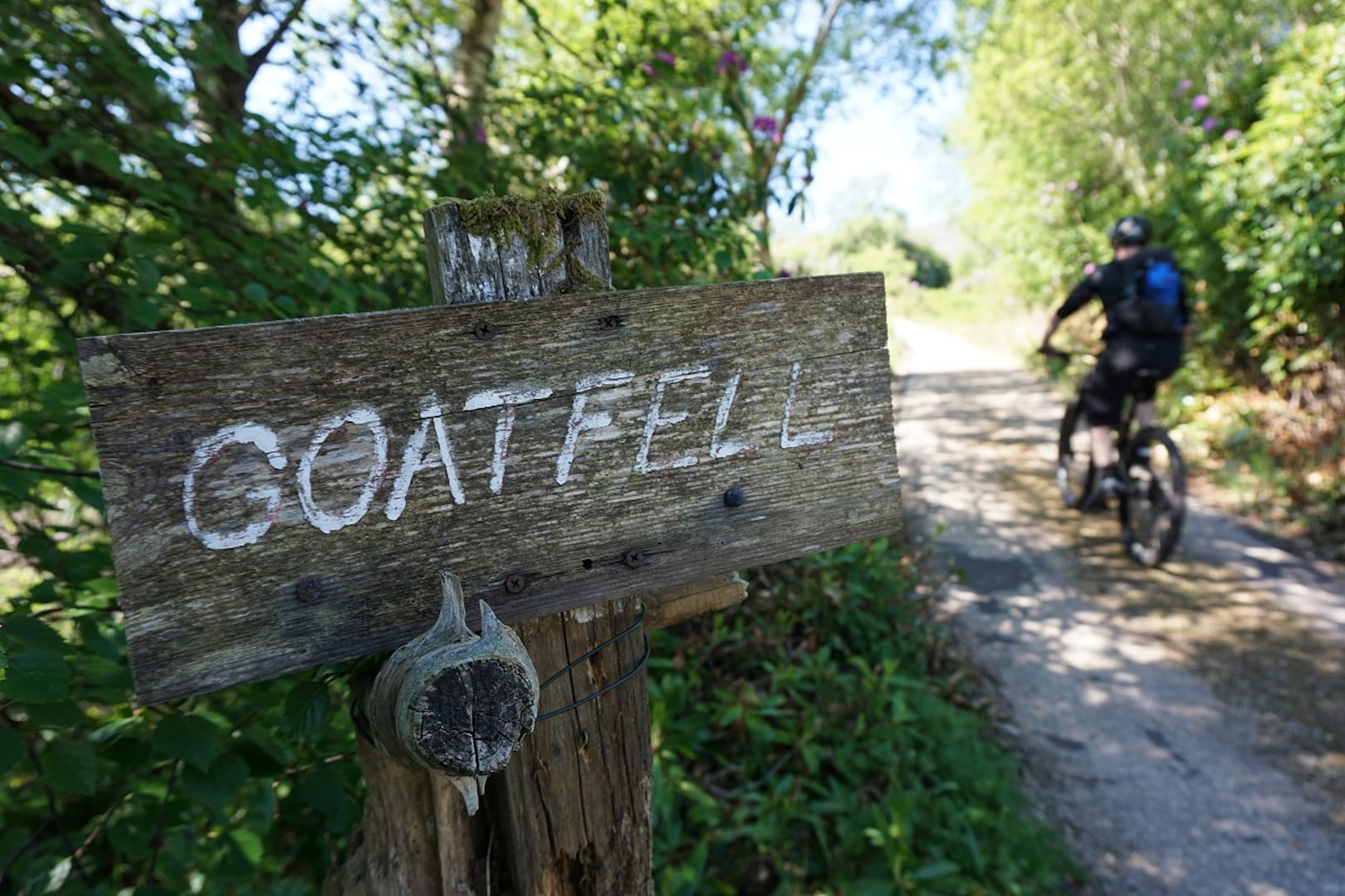 canyon spectral scottish adventure arran singletracks singletrack magazine