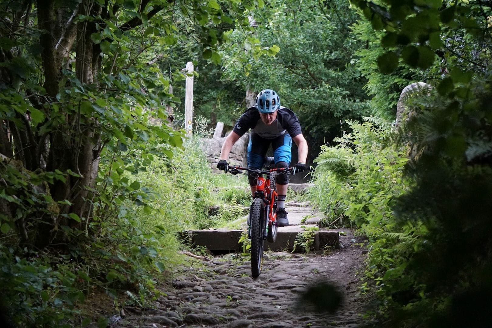 motion e18 linkage fork