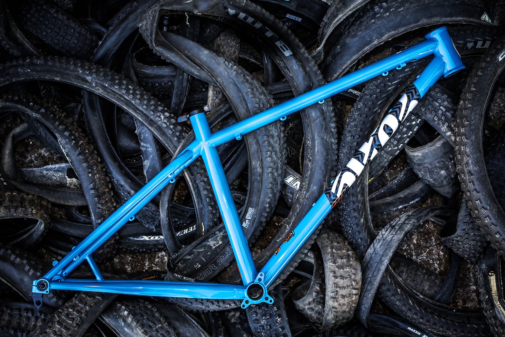 cotic bfe steel hardtail