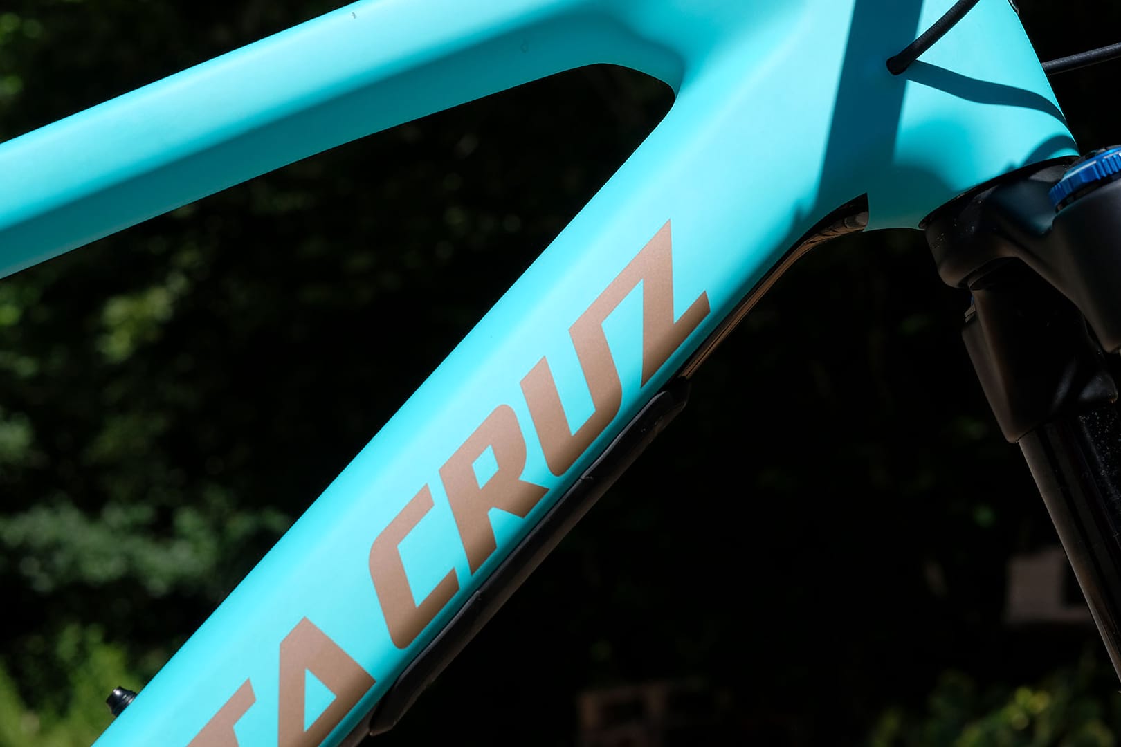 santa cruz bronson