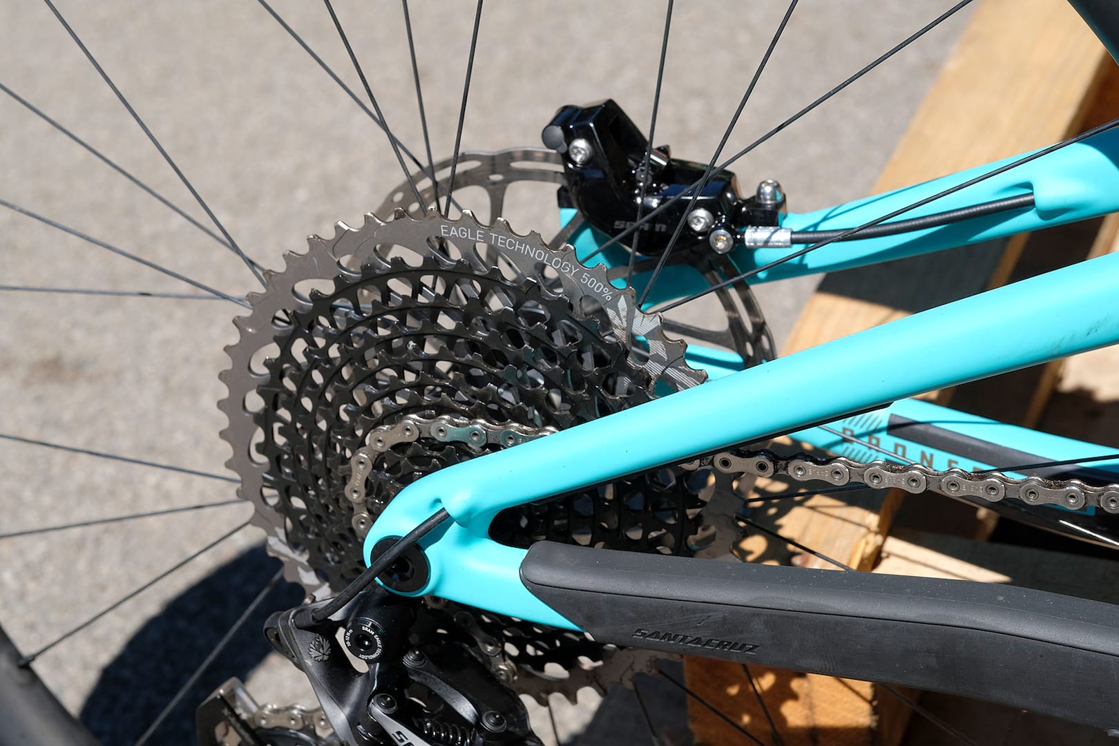 santa cruz bronson