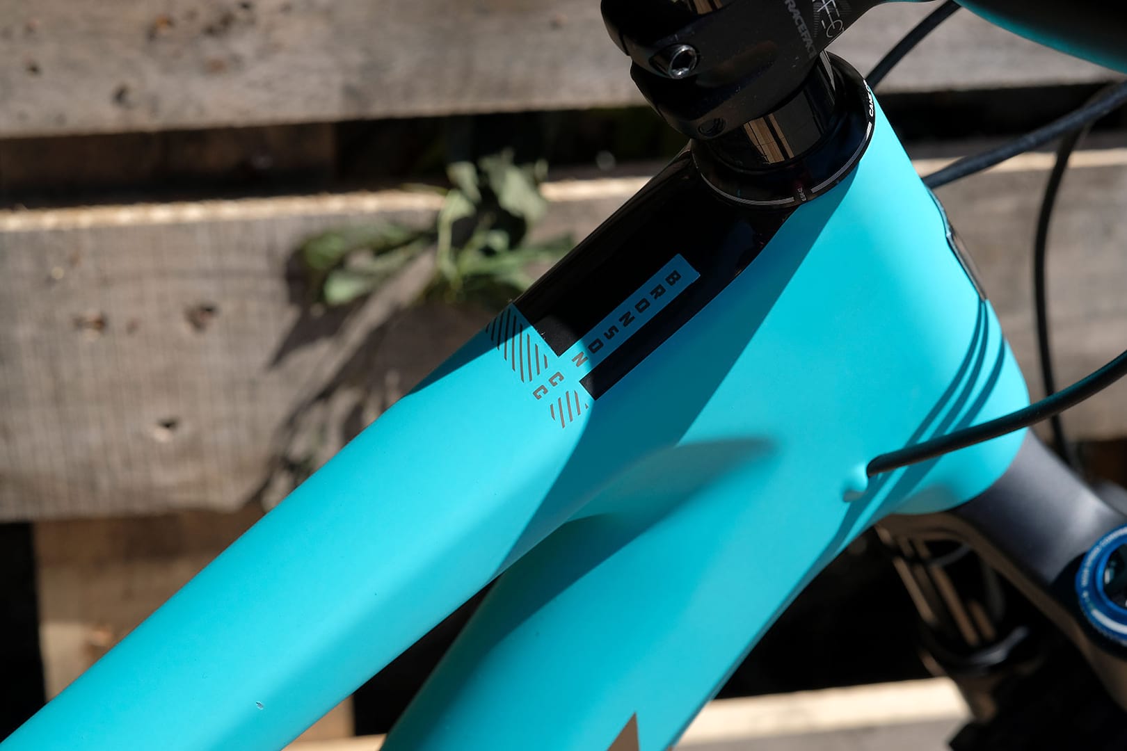 santa cruz bronson