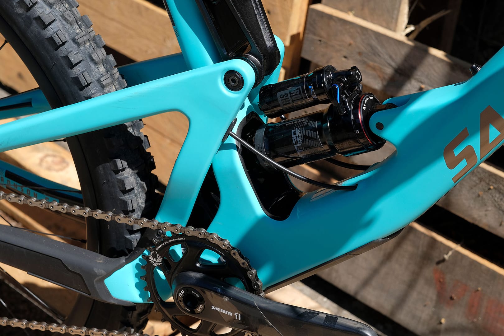 santa cruz bronson