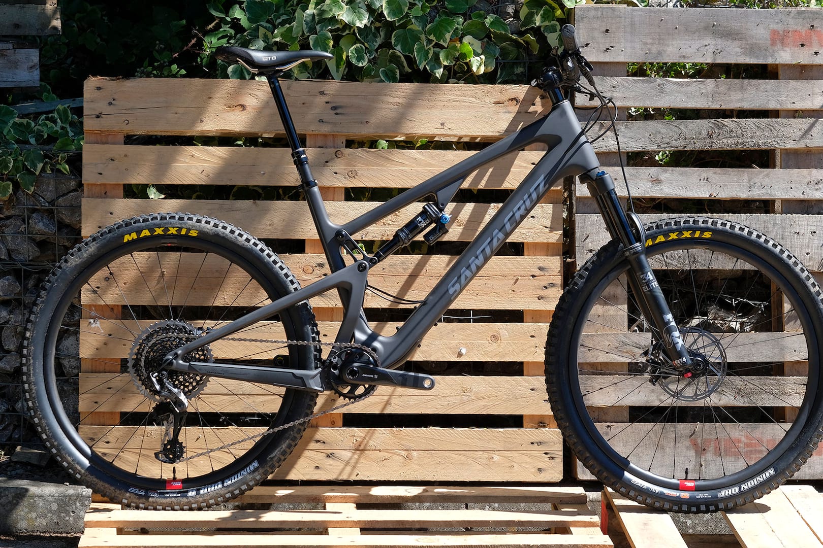 santa cruz 5010 furtado