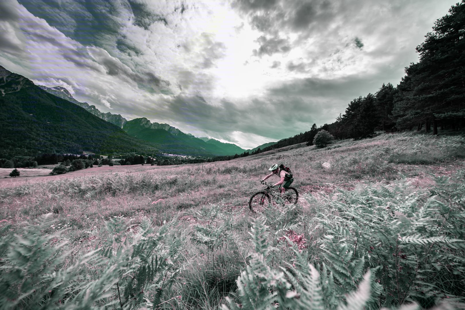 slovenia wil xtr shimano