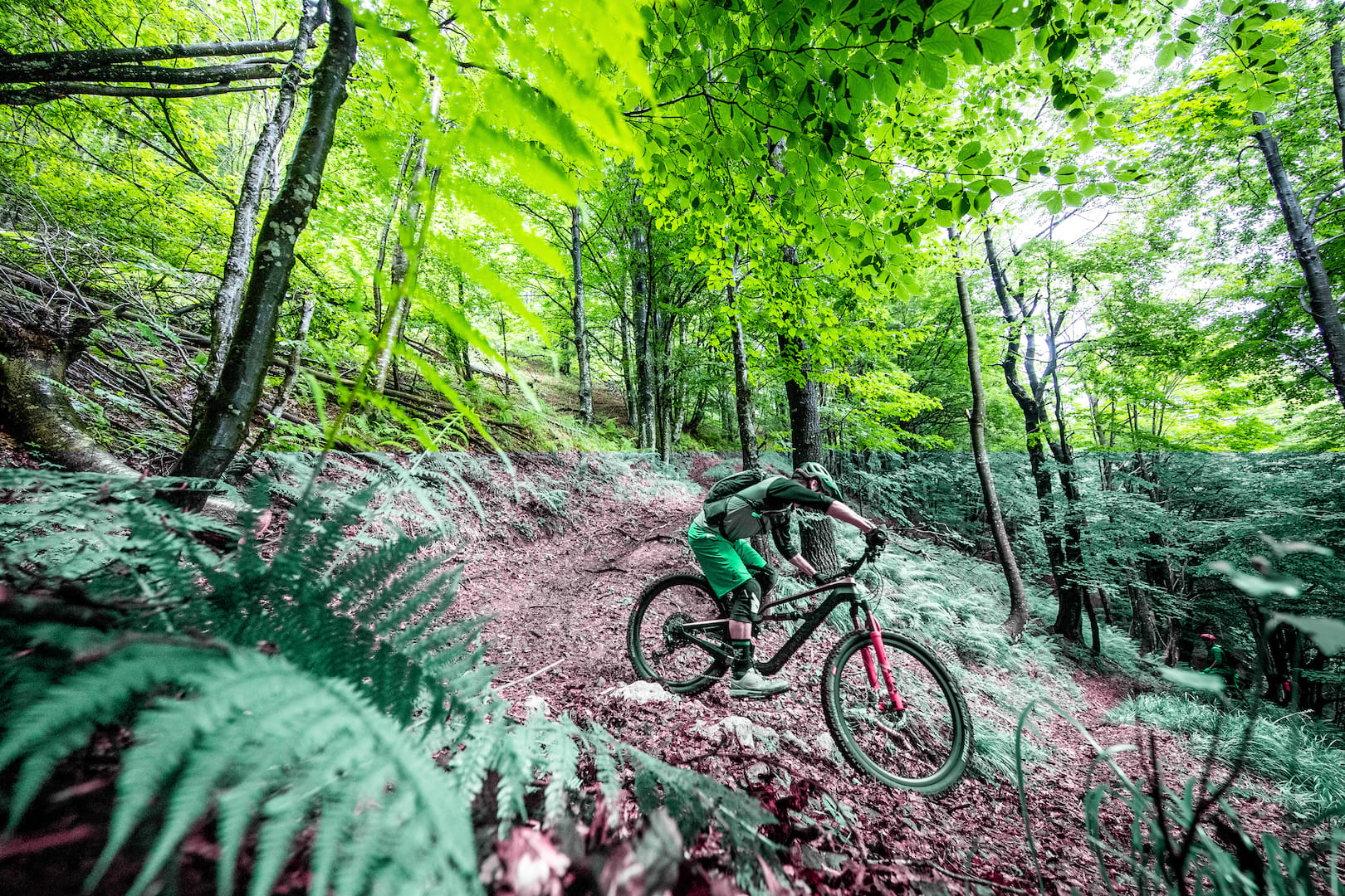 canyon spectral wil slovenia xtr