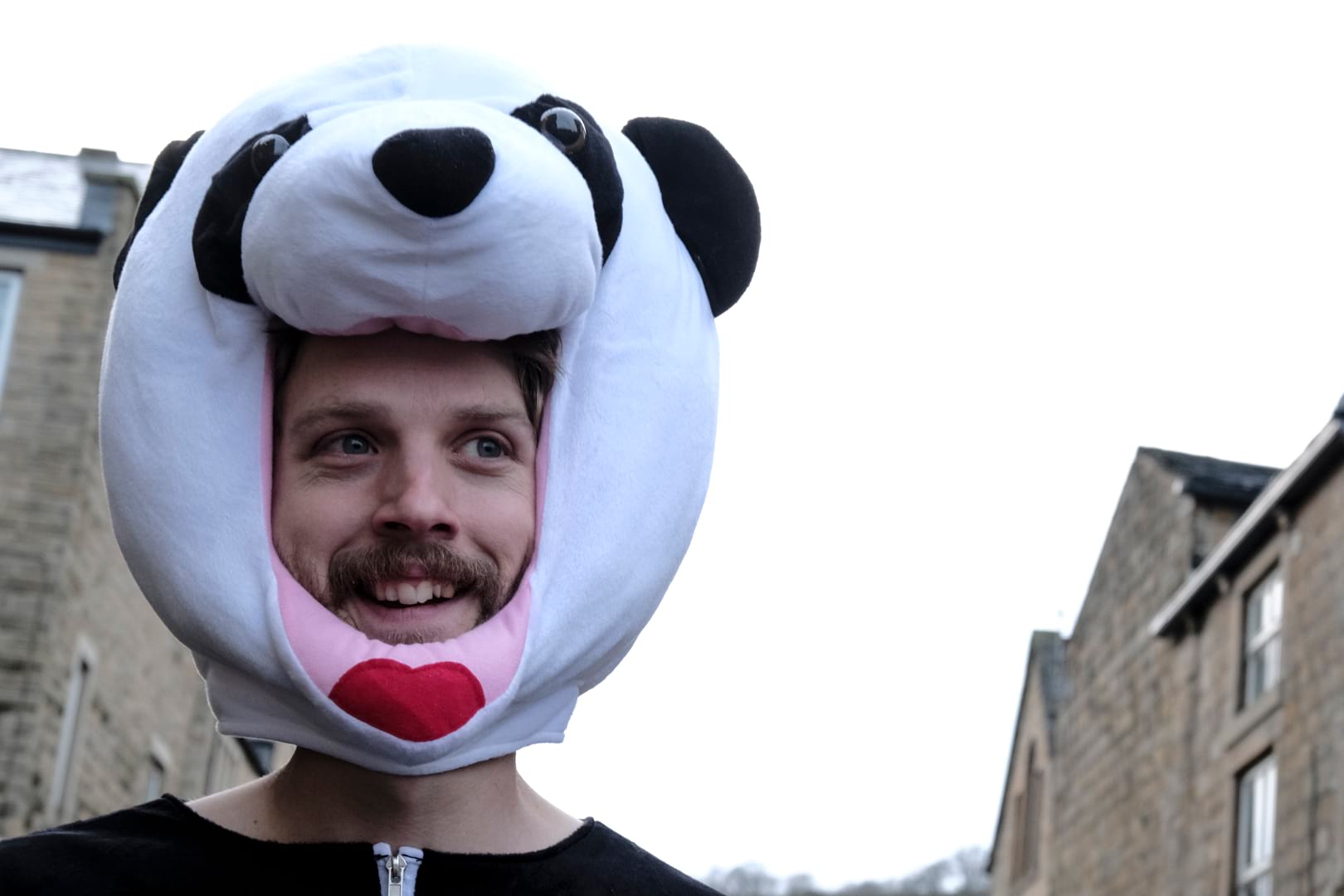 panda bamboo wil