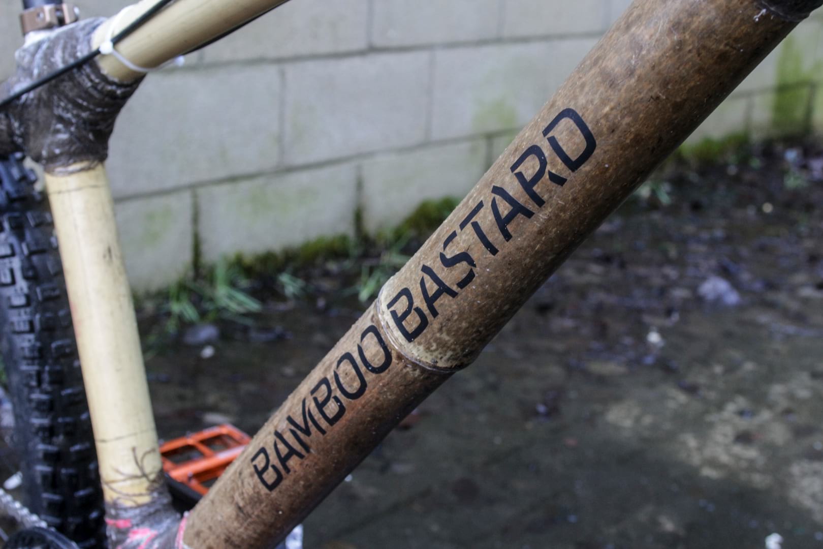 the bamboo bastard