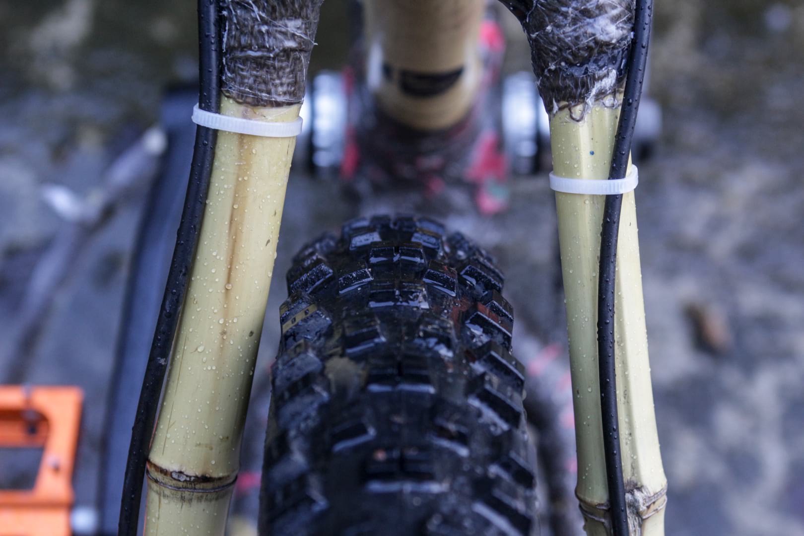 bamboo bike bicycle club