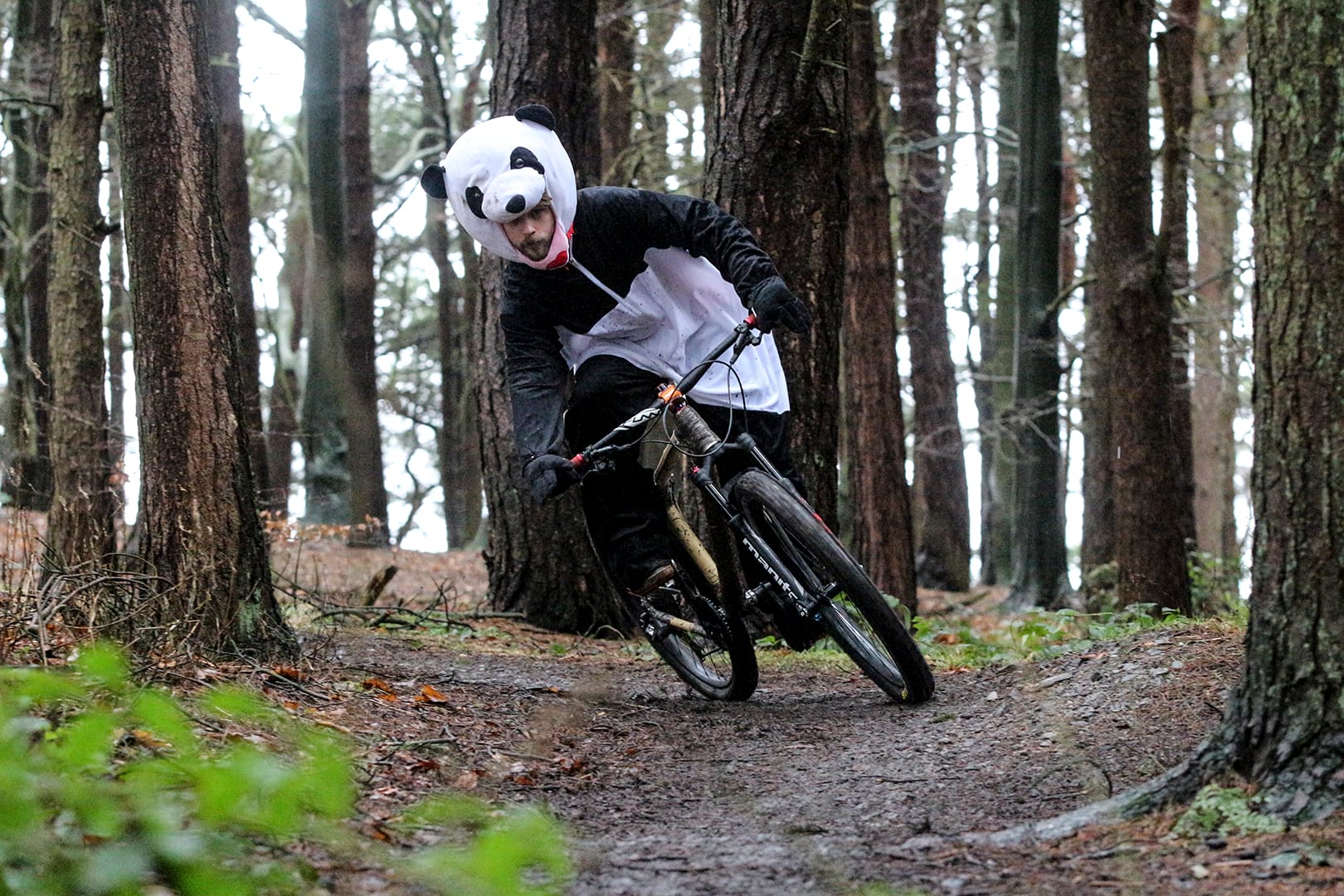 bamboo bike bicycle club