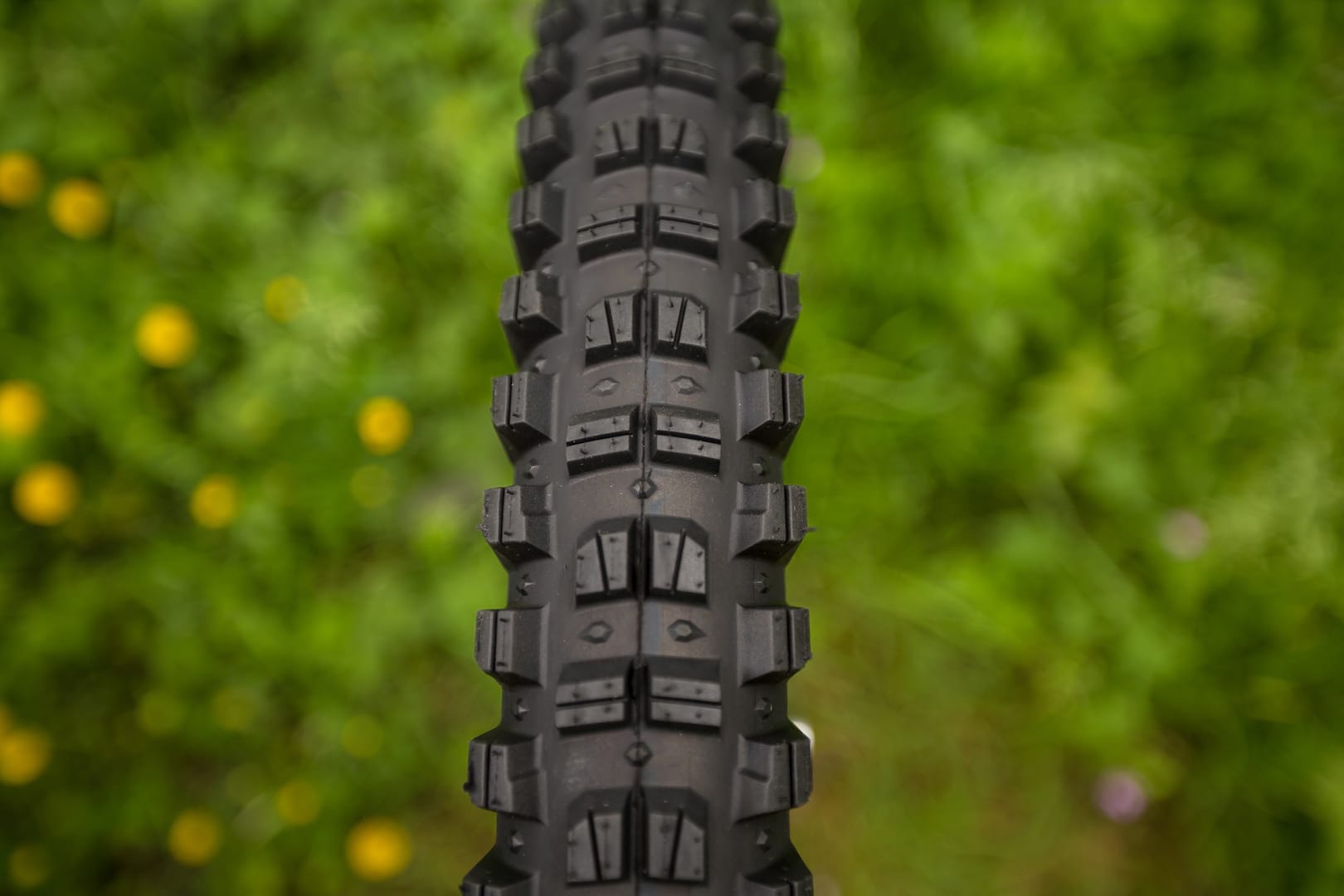 wtb tyre judge