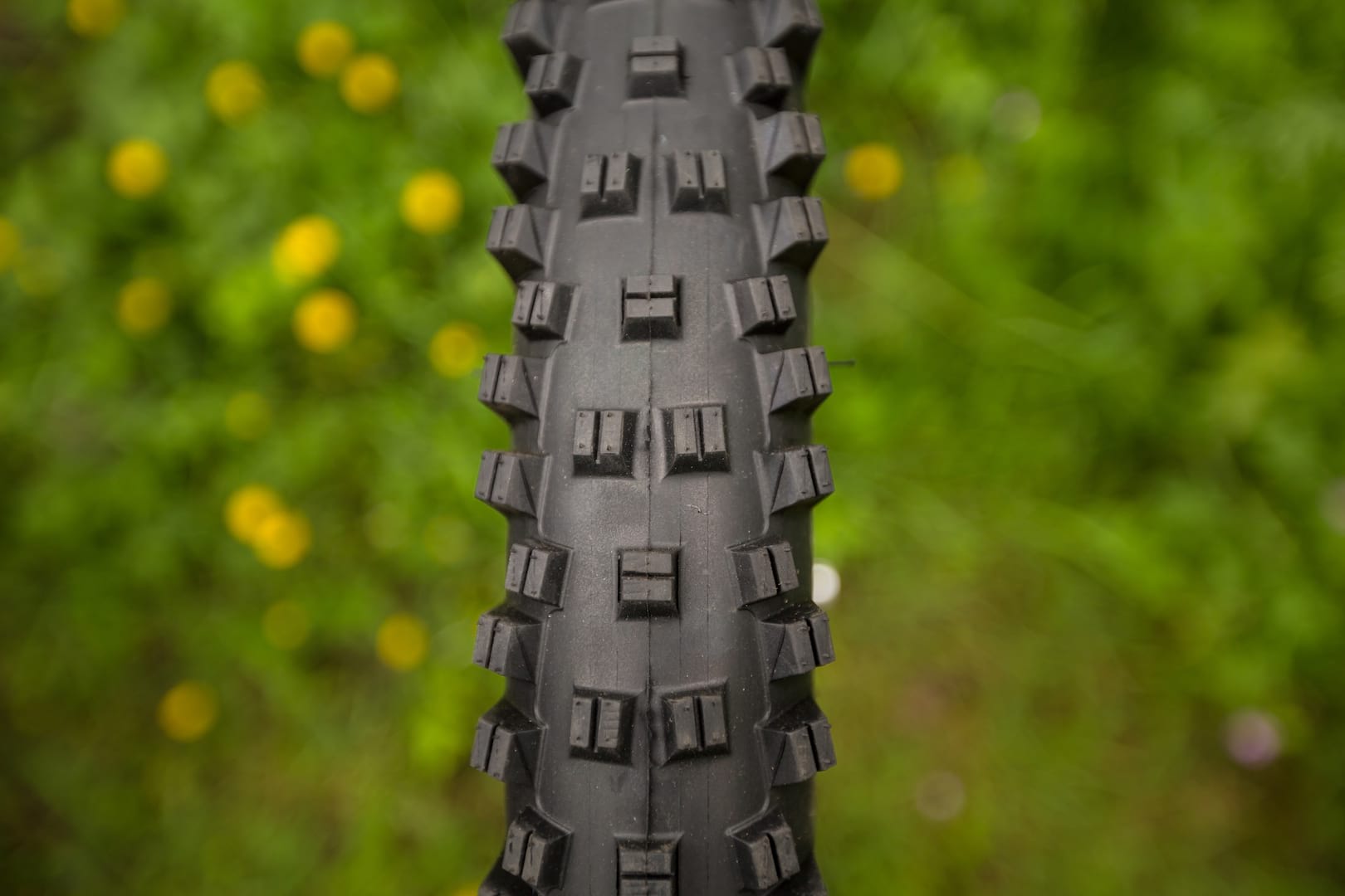 First Ride – WTB introduces new Vigilante, Trail Boss & Judge tyres