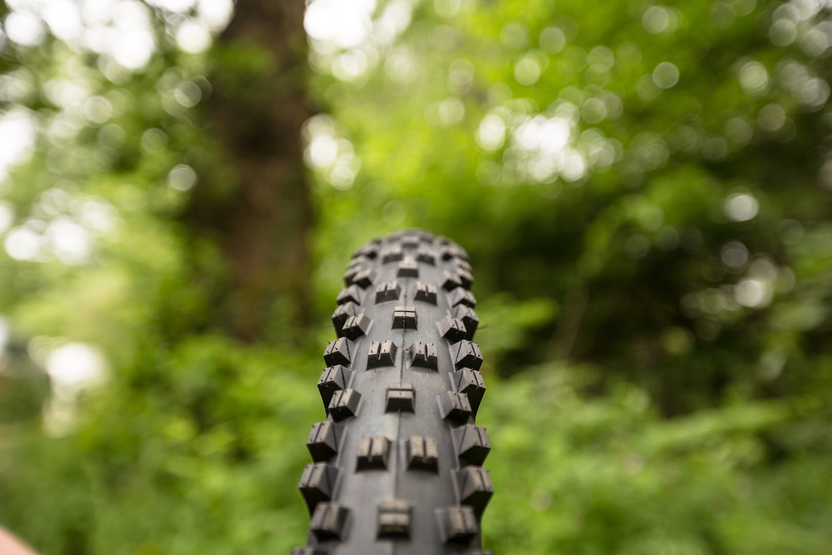 wtb vigilante tyre