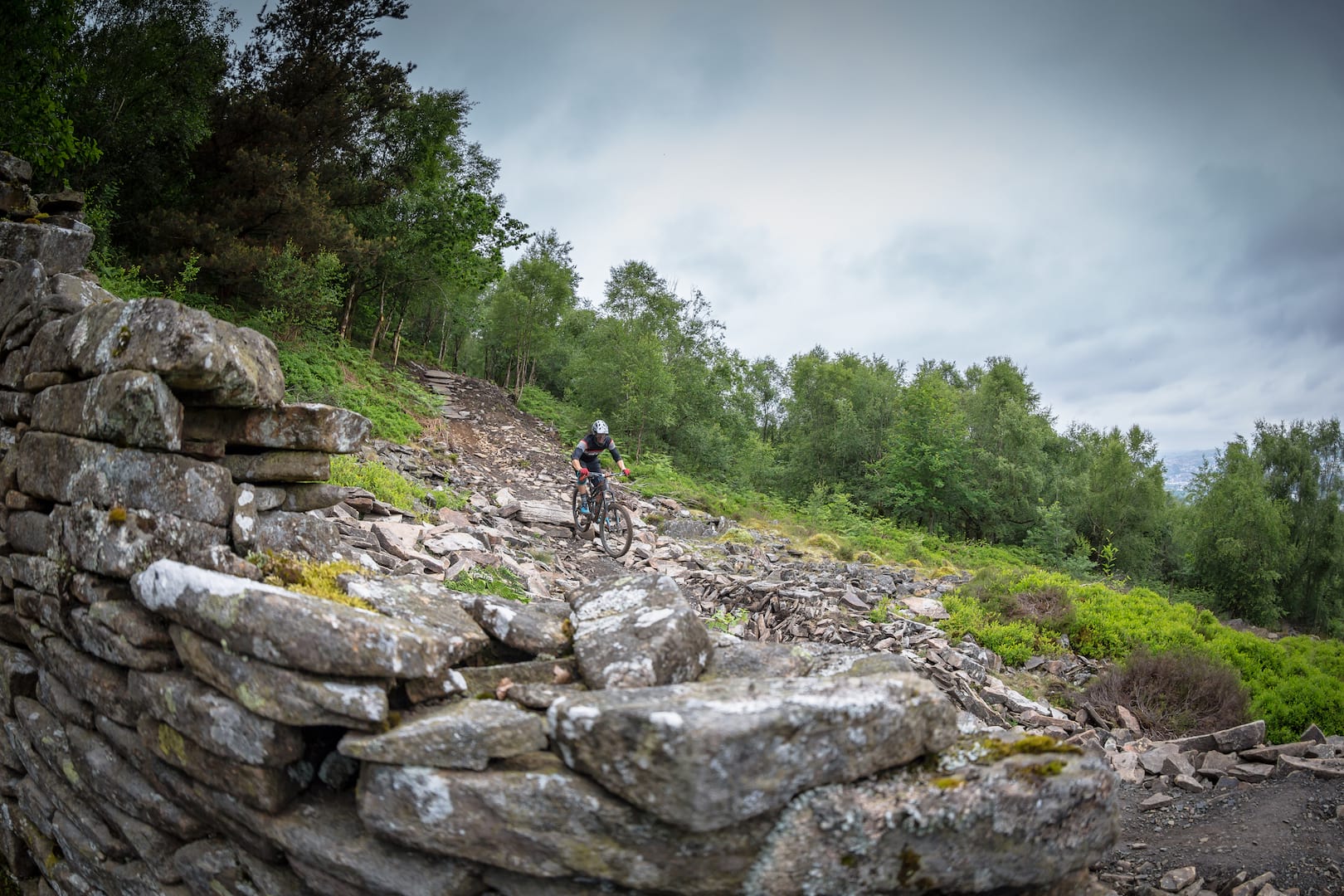 bikepark wales james vincent wtb