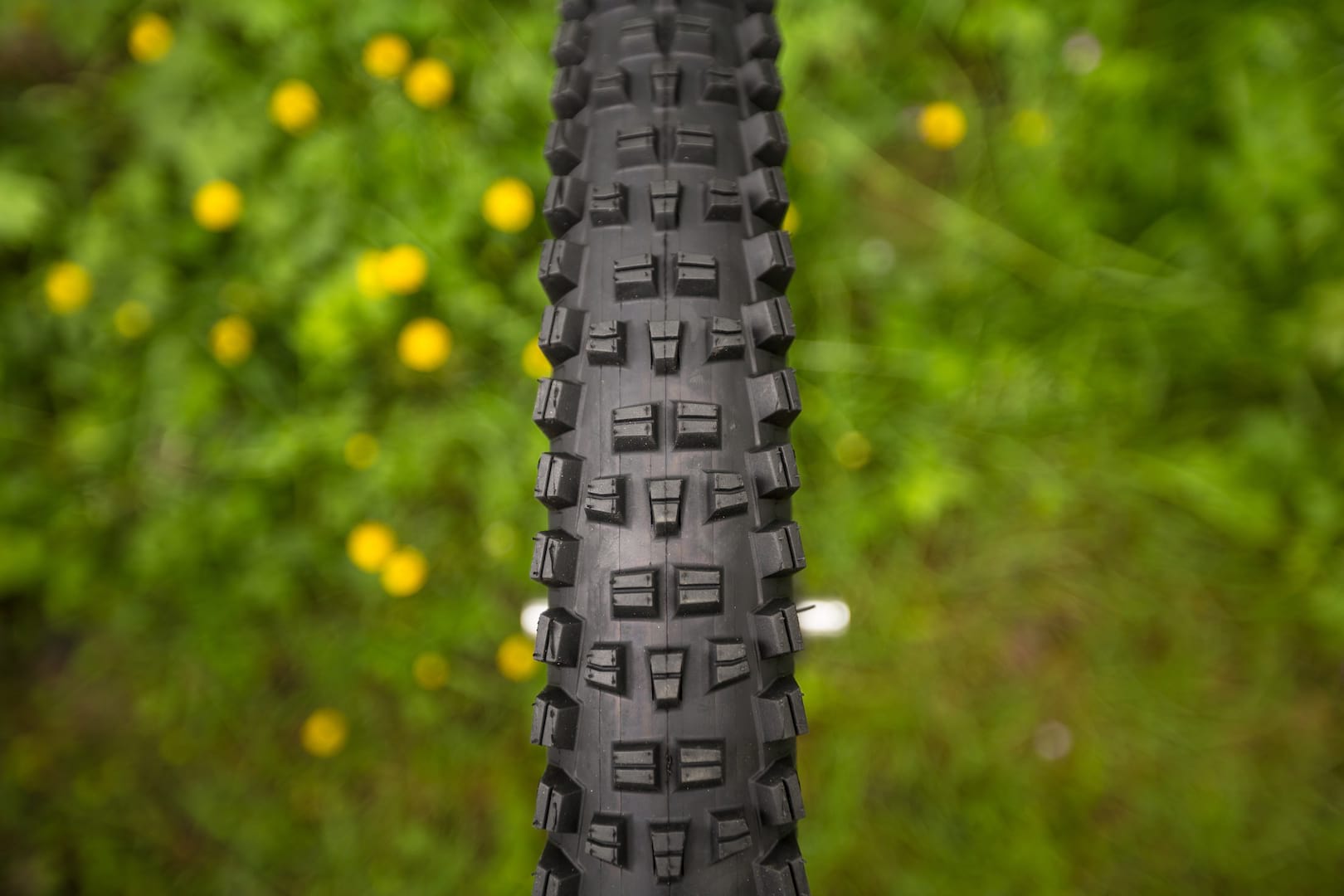 wtb vigilante tyre