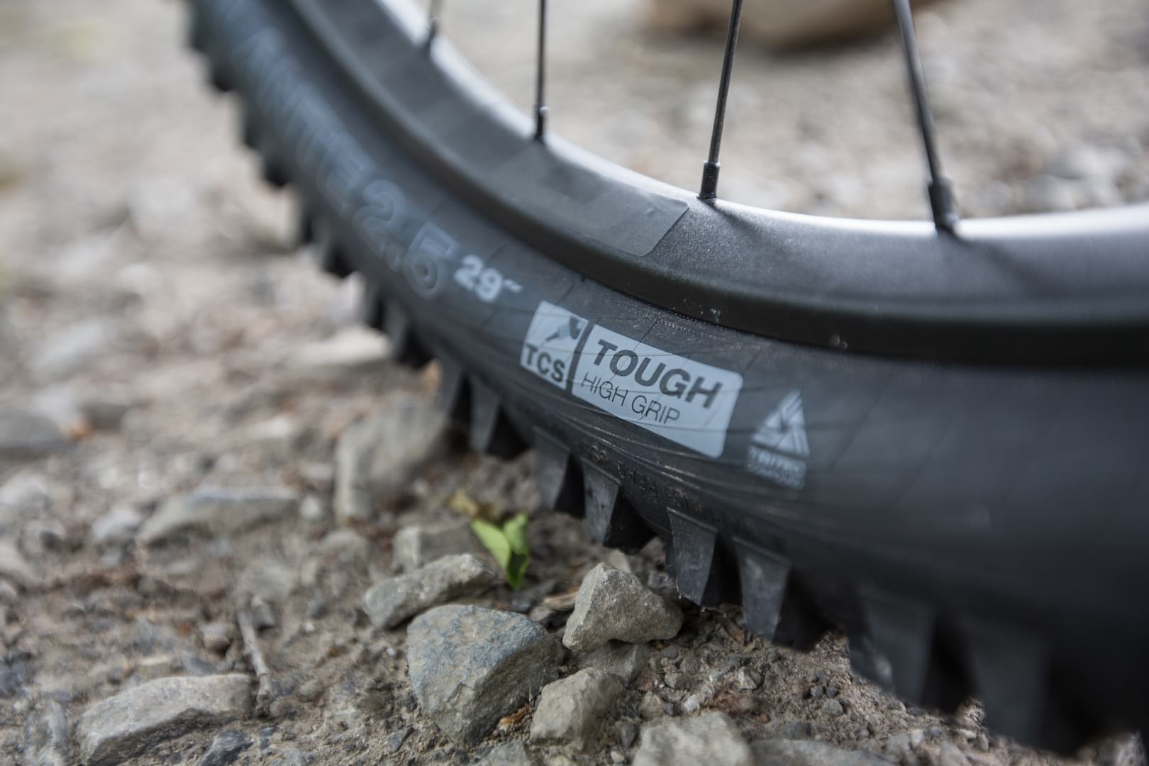 wtb tyre