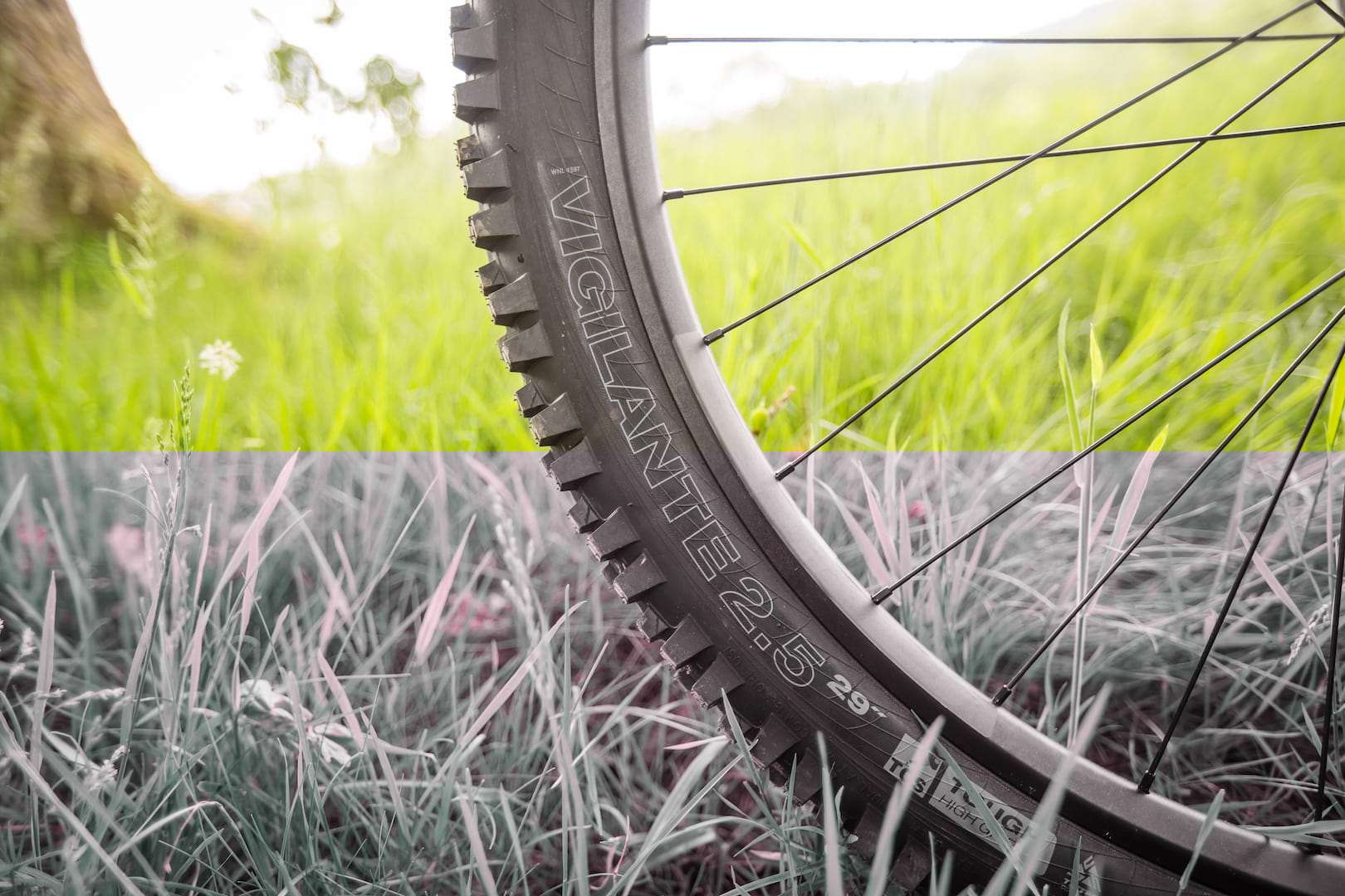 wtb vigilante tyre