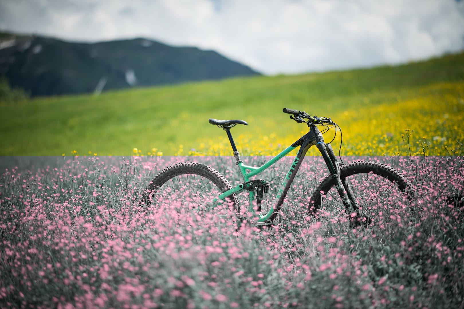 First Ride Review: The 2019 Marin Alpine Trail is a big travel 29er that is tough & simple, but it’s also really good