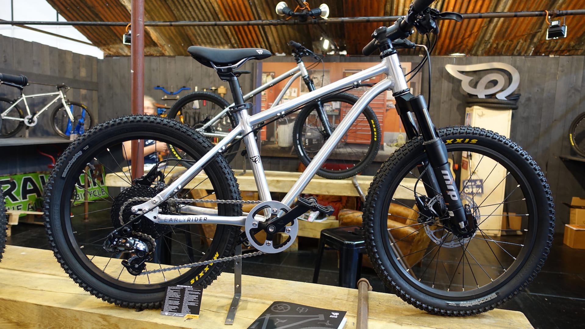 early rider kids bike 20in mrp