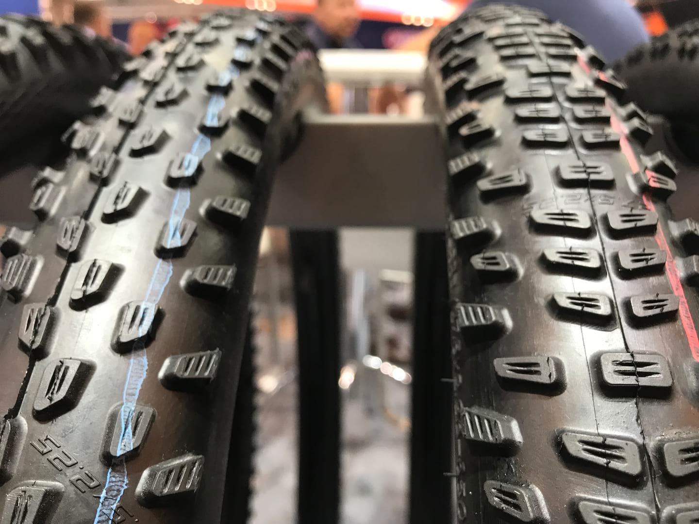 Schwalbe