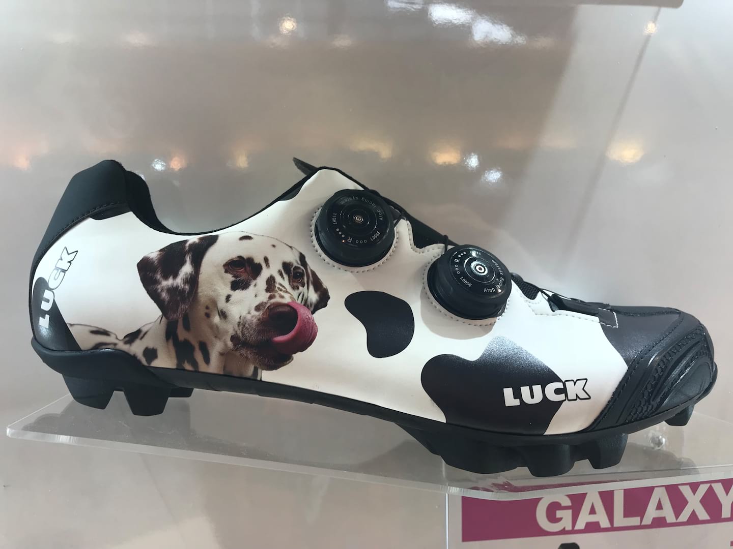 Eurobike: The Predictions That Came True