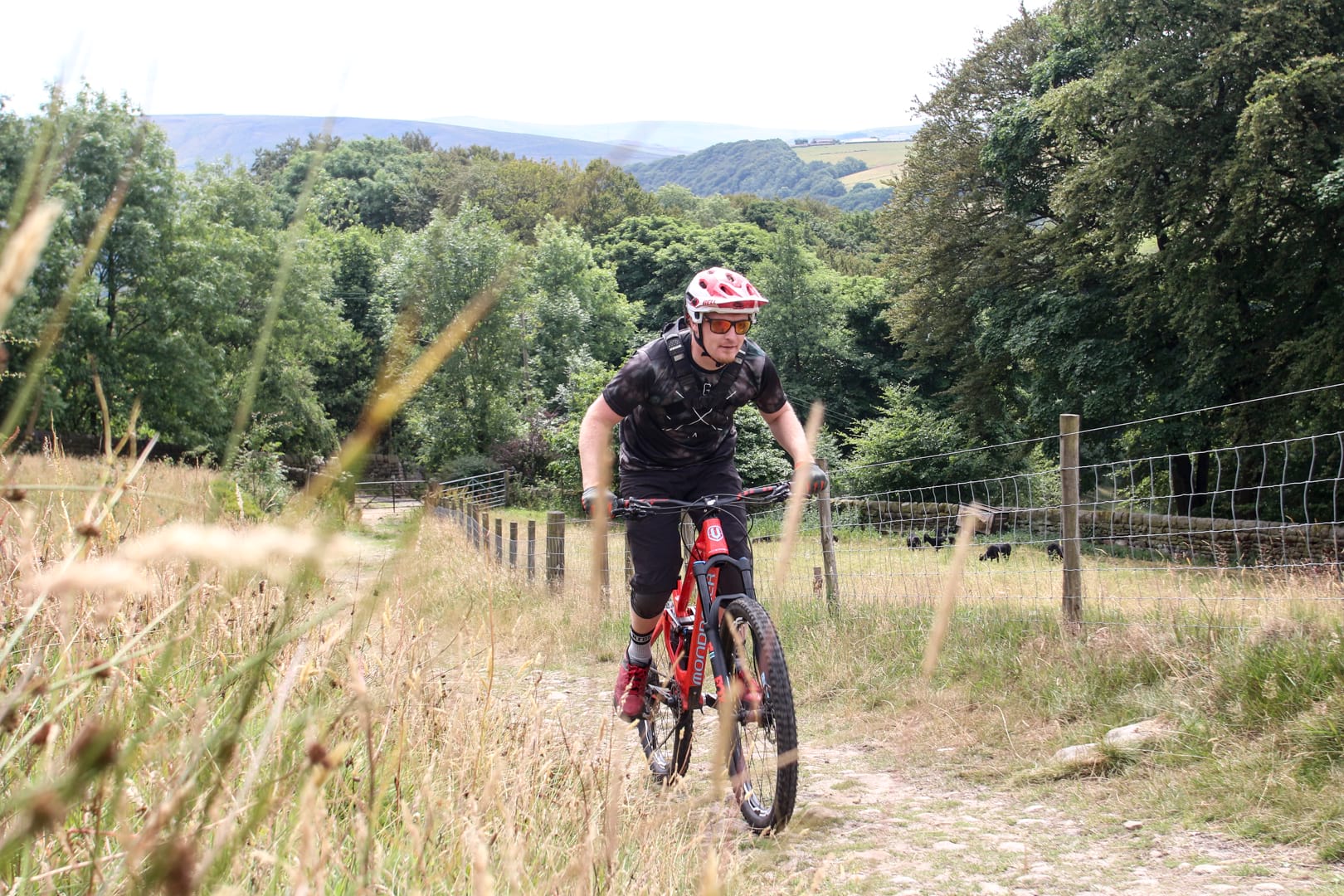 mondraker foxy review