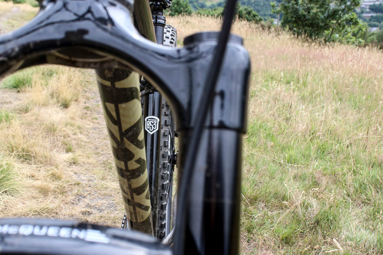 cotic solarismax reynolds 853 steel