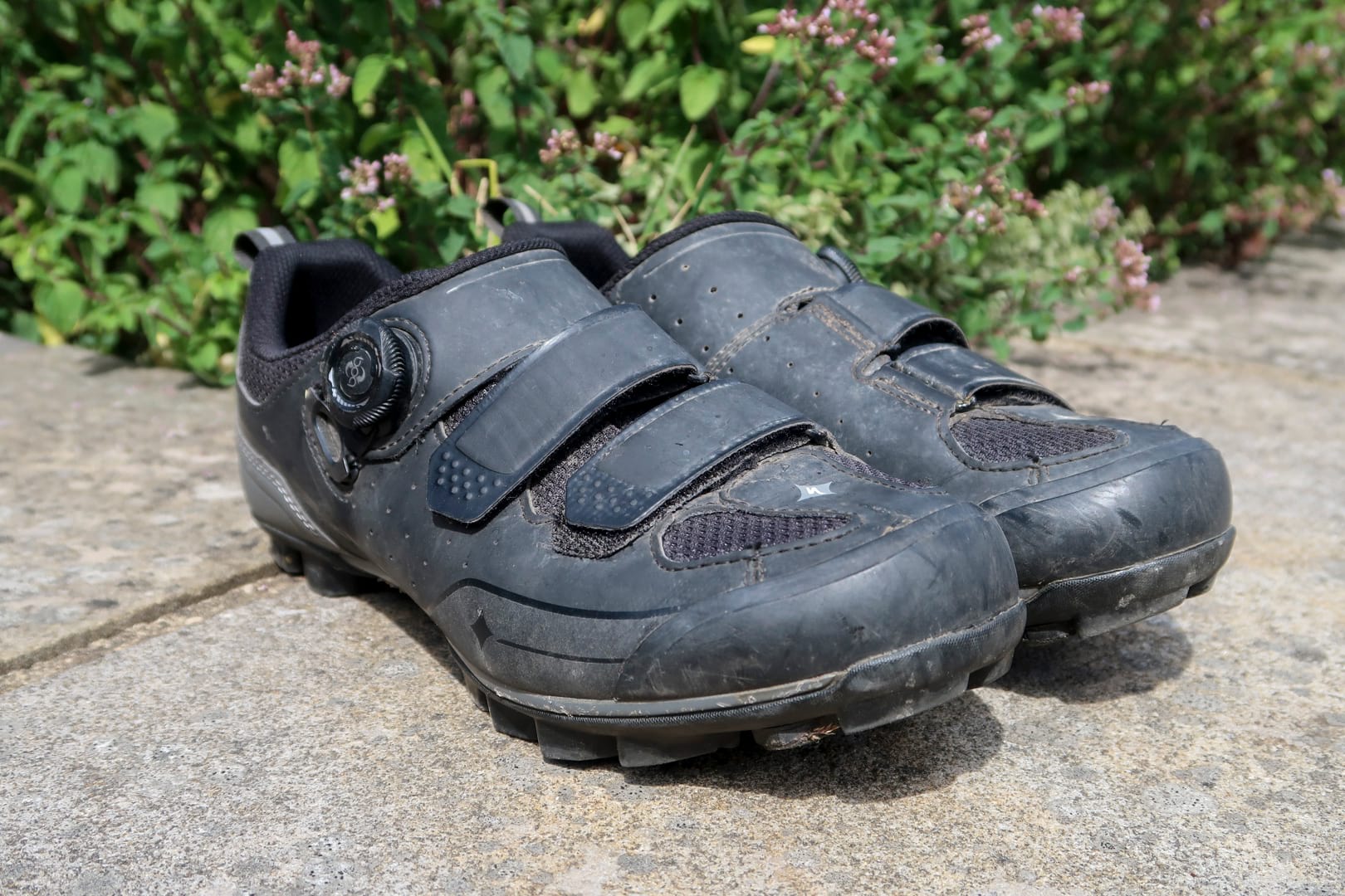Specialized Motodiva Wmn shoe