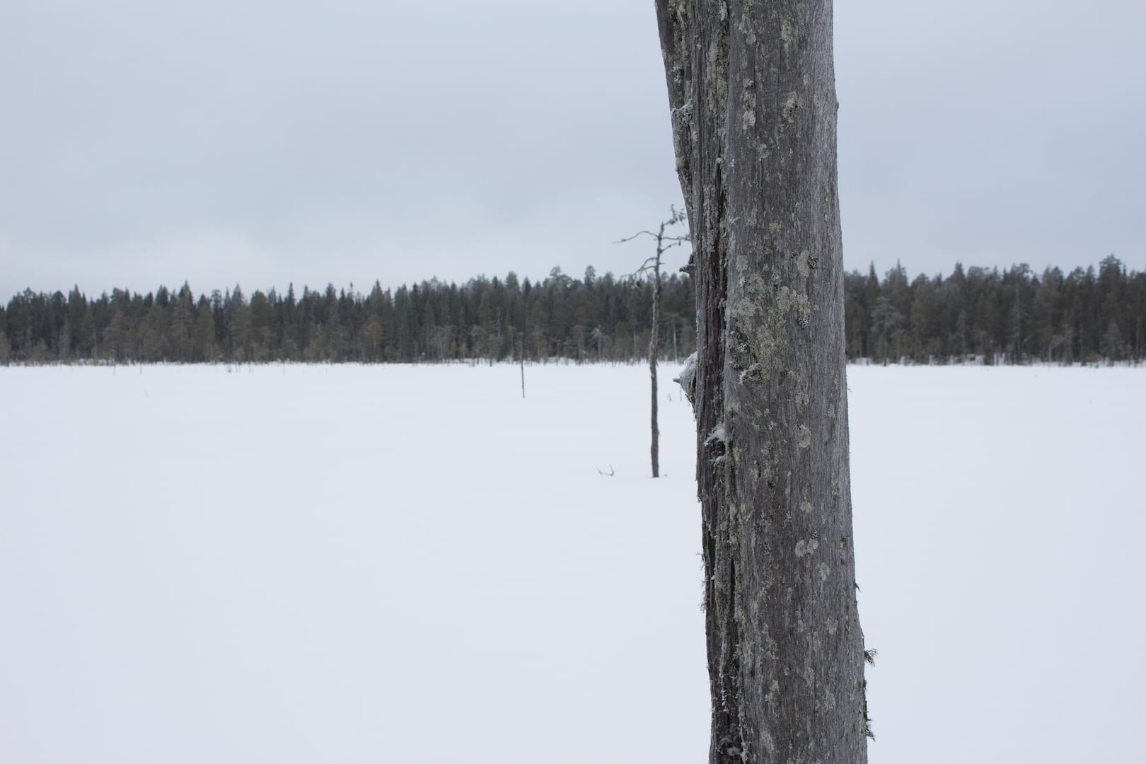 FInland
