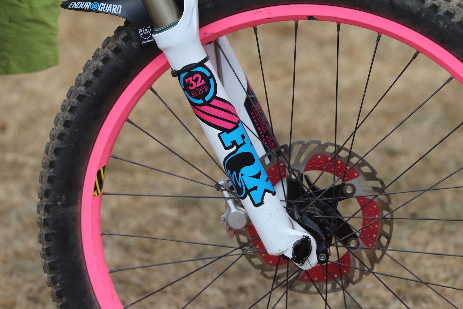 orange five pink fox 36