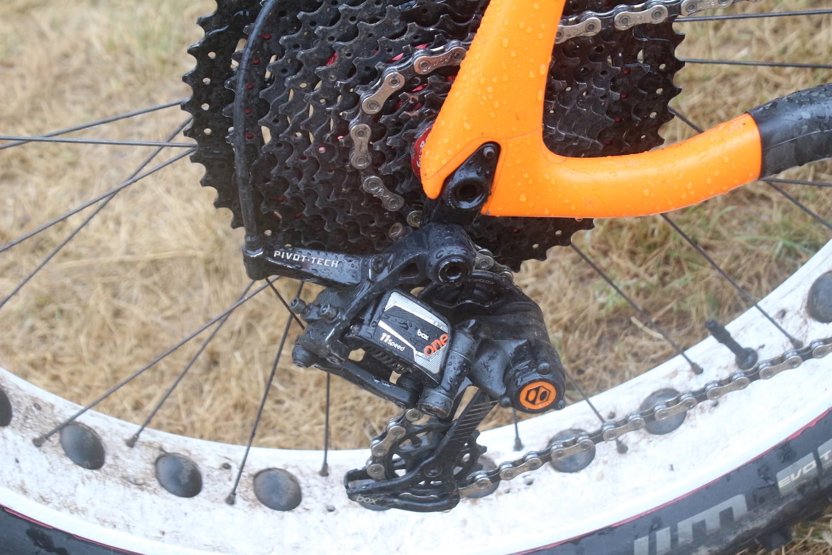 fat bike salsa beargrease