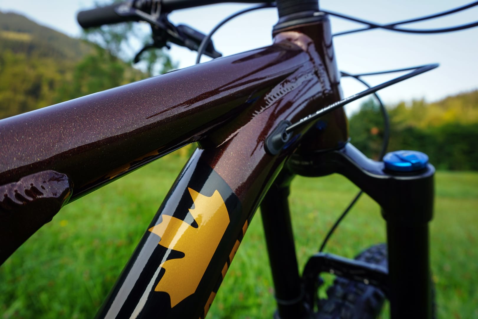 Rocky Mountain Instinct Alloy 50 BC Edition