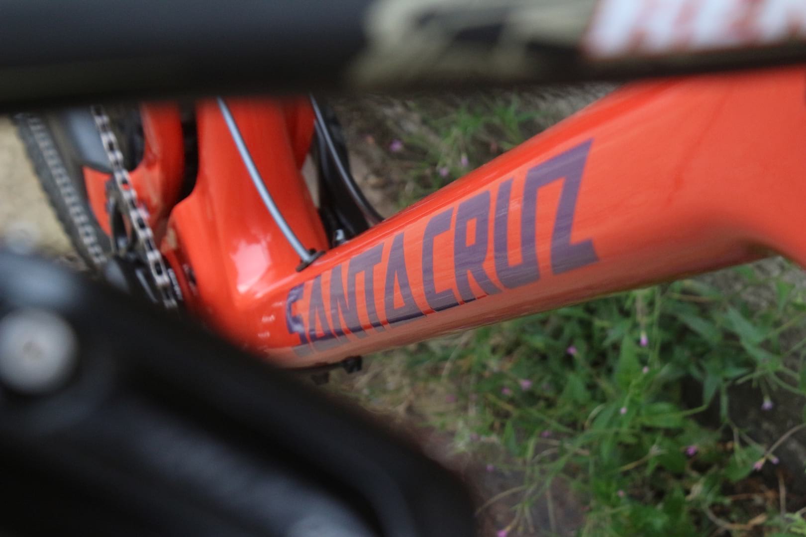santa cruz blur