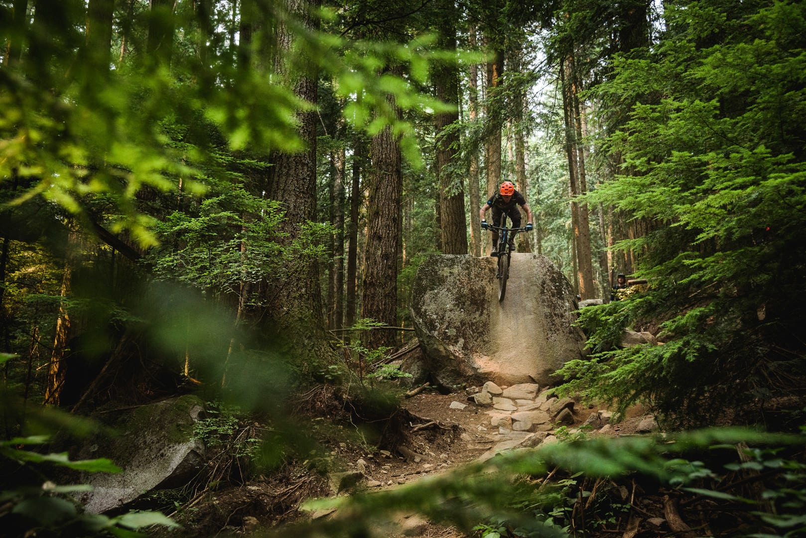 Uncharted British Columbia: From Singletrack Issue 120
