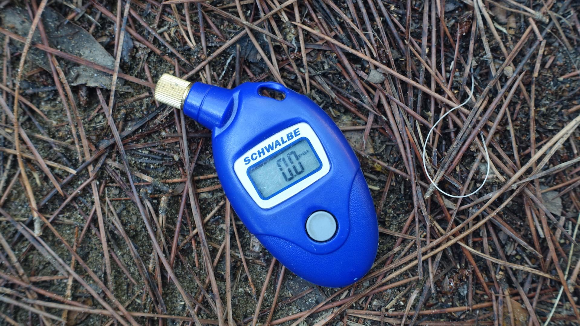 schwalbe airmax pro tyre pressure gauge