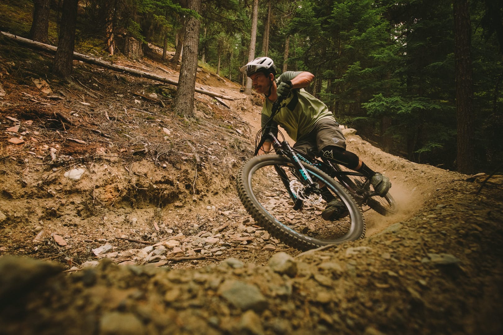 2019 rocky mountain thunderbolt alloy