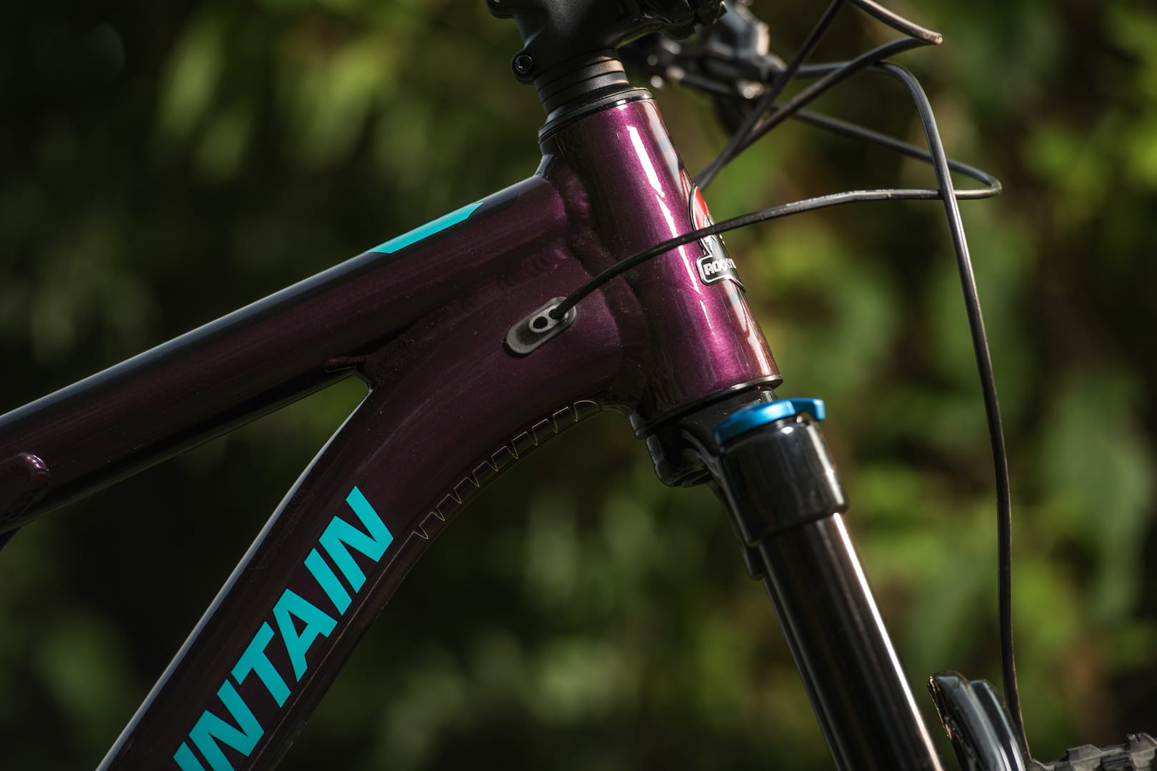 2019 rocky mountain thunderbolt alloy