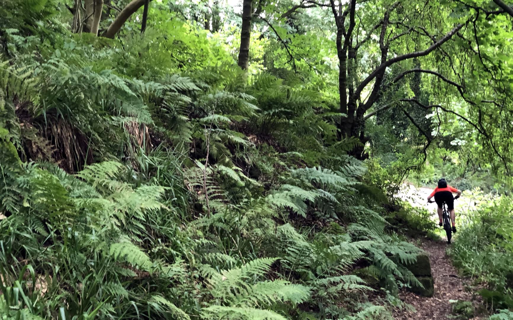 finding local trails with komoot singletrack magazine