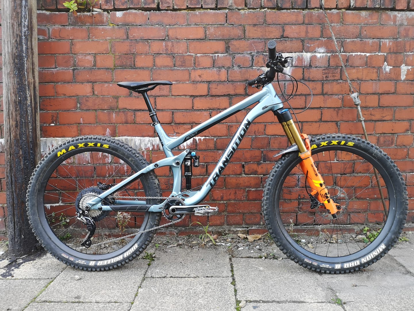 Andi Transition Scout