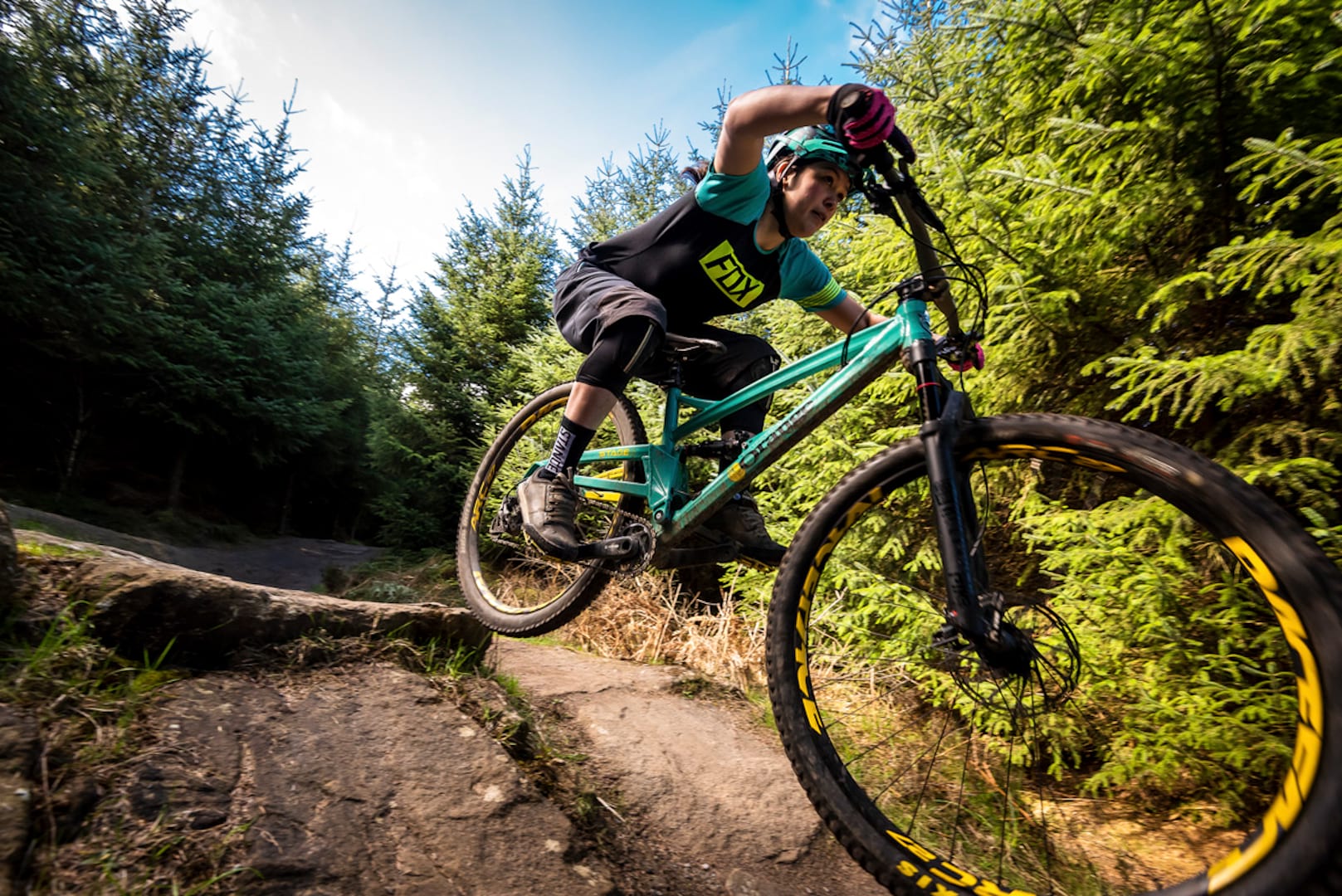 orange stage 4 hamsterley forest
