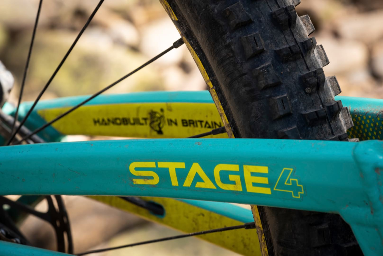 orange stage 4