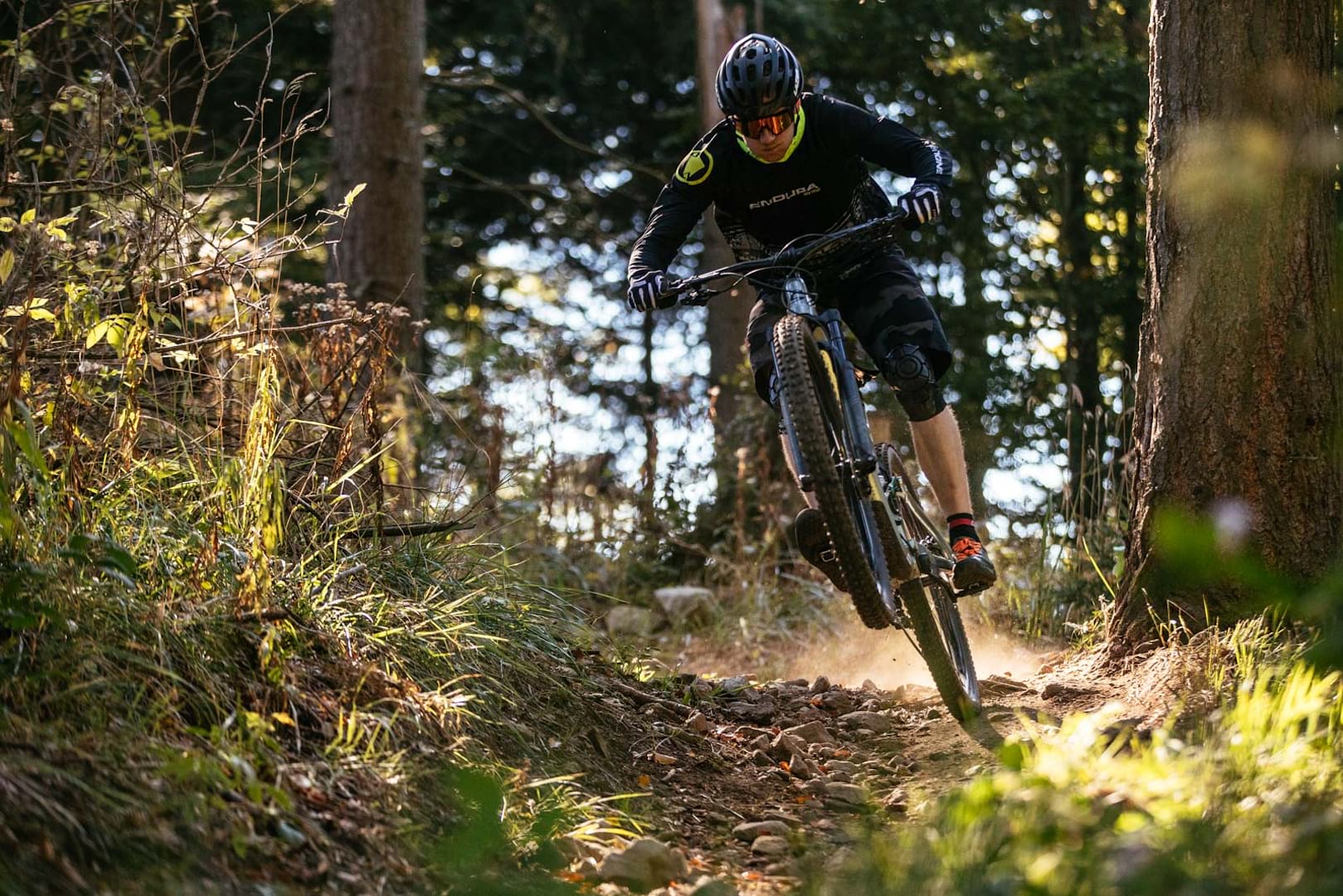 cannondale habit press launch freiburg 29er 130mm