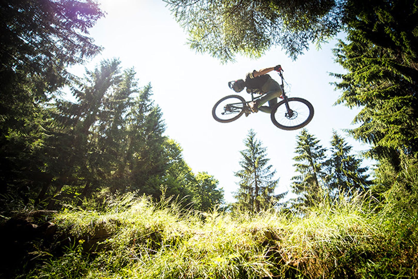 Video: A Slice Of Ariégeoise Pie