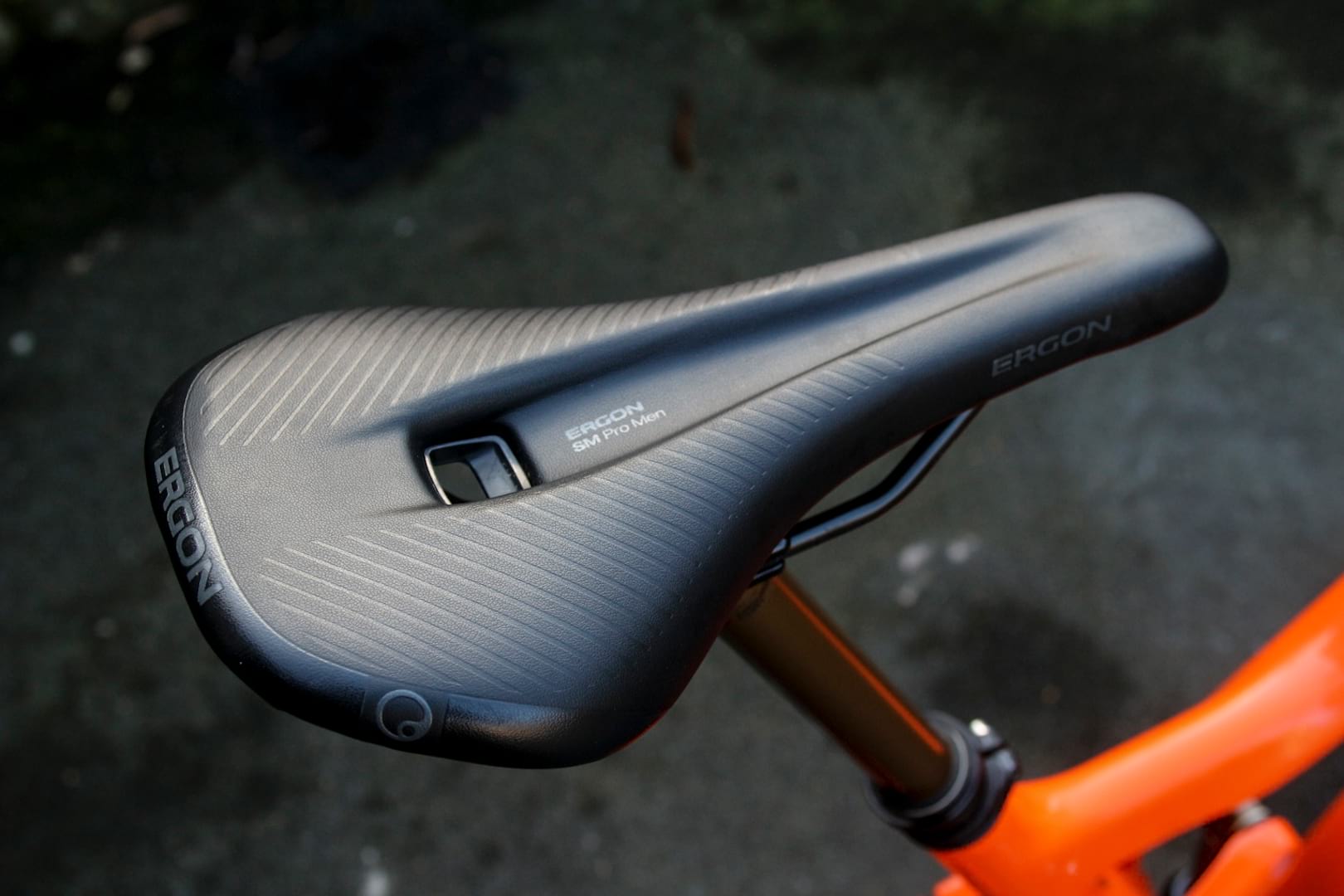ergon saddle