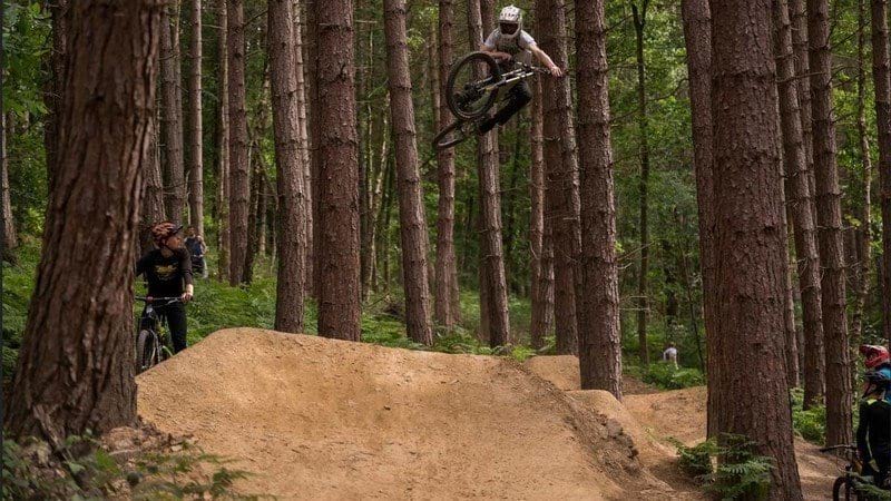 Sign This Petition To Save Wharncliffe Trails